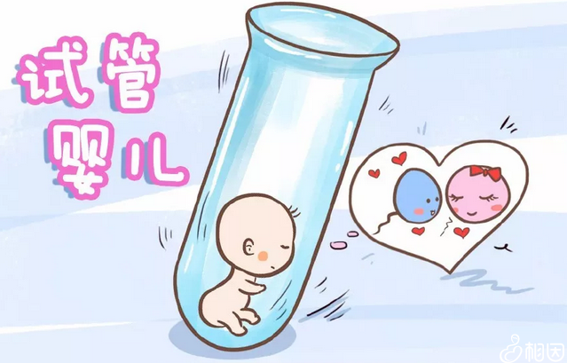 试管婴儿移植禁忌