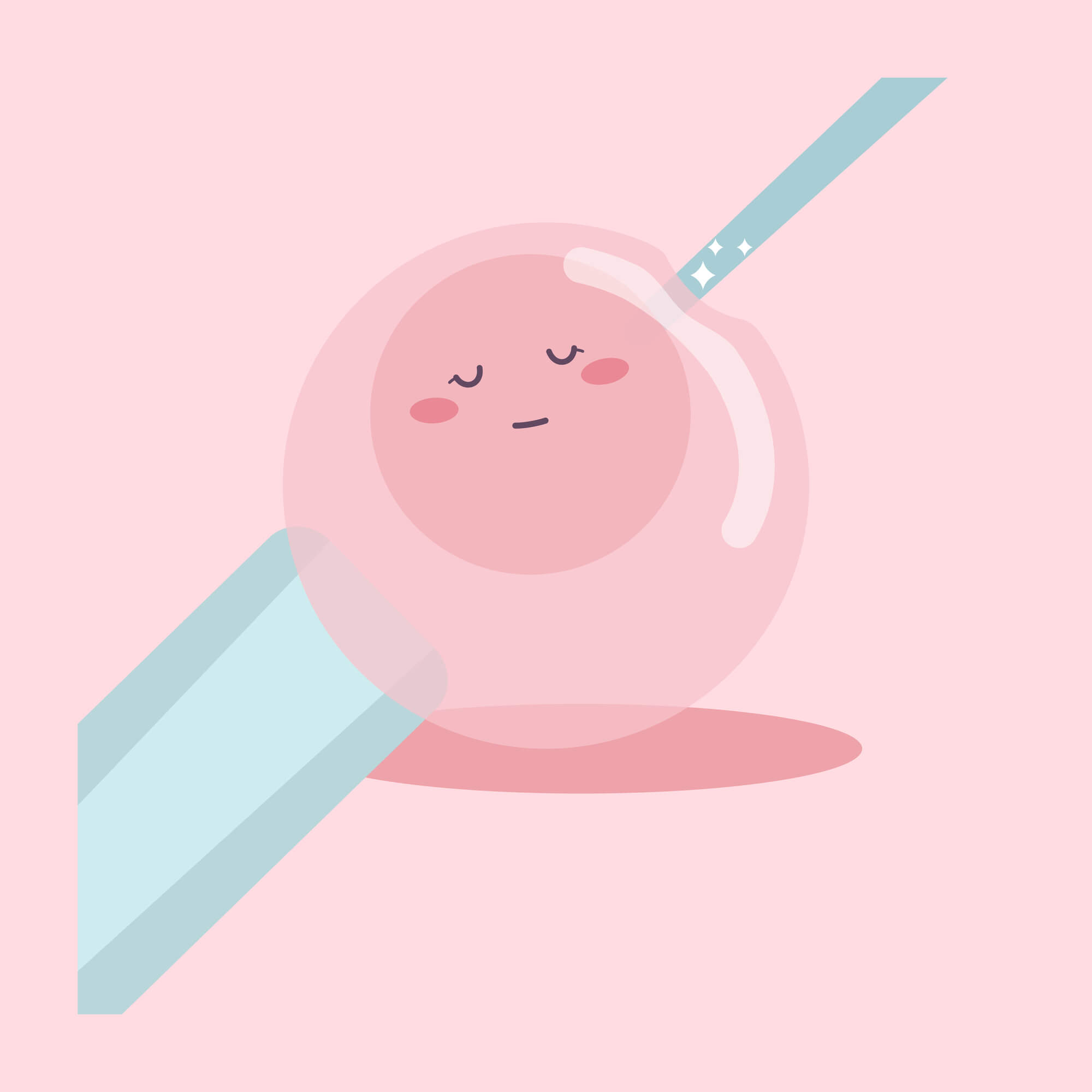 试管婴儿移植后营养膳食指导方案