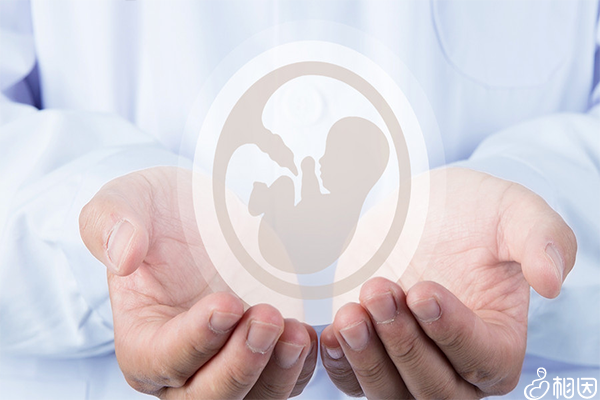 试管婴儿移植第7天恶心症状分析